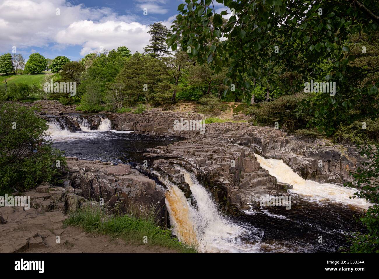 Wasserfälle am Fluss Tees im Frühling in Upper Teesdale, County Durham, England Stockfoto