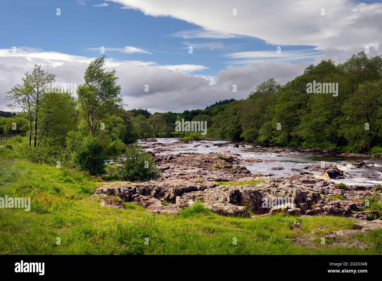 River Tees im Frühjahr in Upper Teesdale, County Durham, England Stockfoto