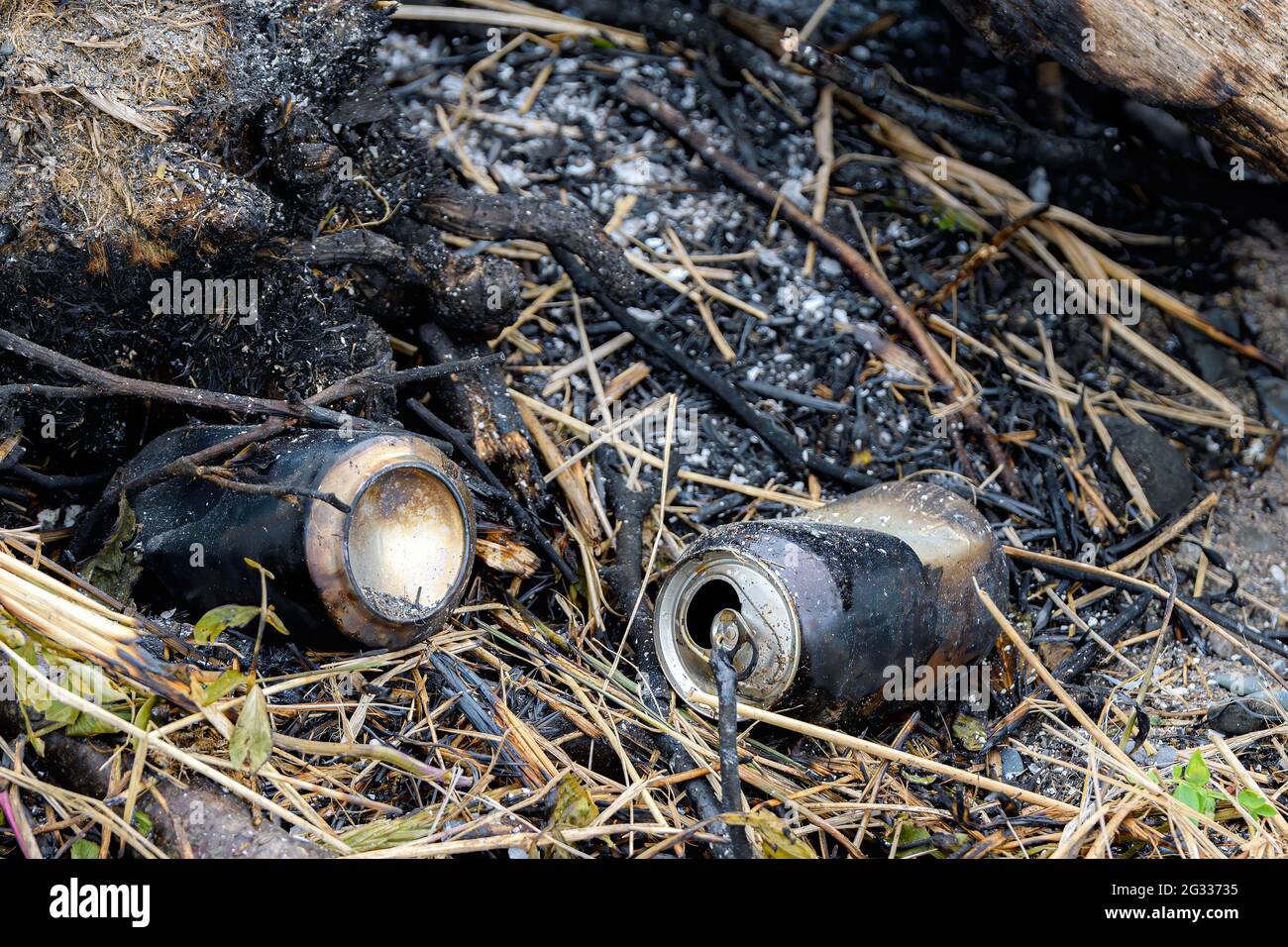 Zwei verbrannte Bierdosen liegen bei Tageslicht am Rand einer Feuerstelle. Das Feuer ist am Tag nach der Party. Geringe Schärfentiefe, Fokus auf Dosen. Stockfoto