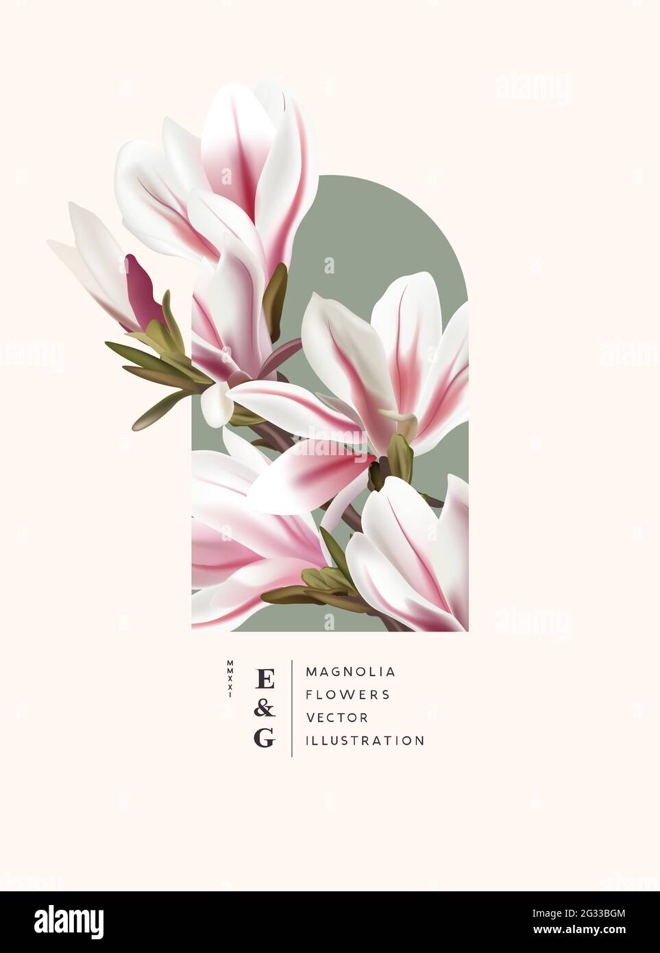 Florale Dekoration der Magnolie. Special Event Marketing Pflanze Hintergrund Vektor-Illustration. Stock Vektor