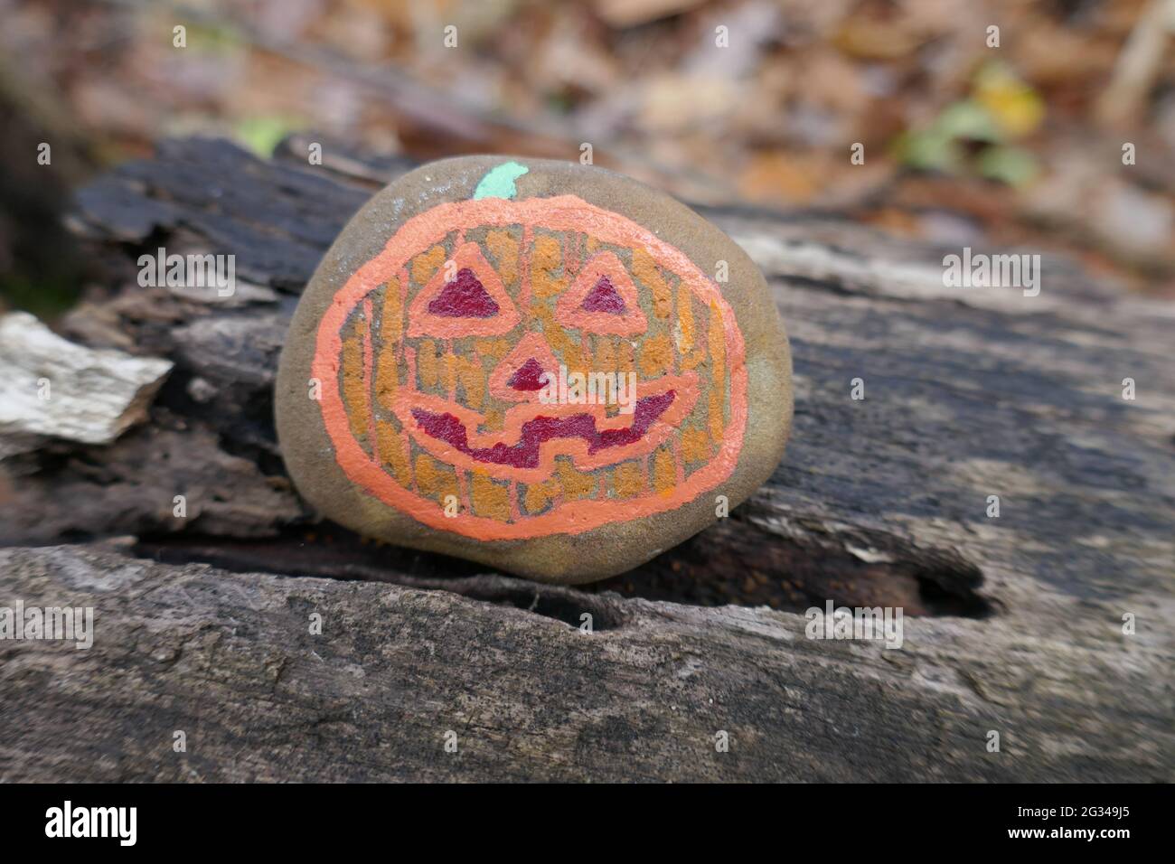 Orange Jack o Laterne gemalt auf einem Freundlichkeit Rock sitzt auf log Stockfoto