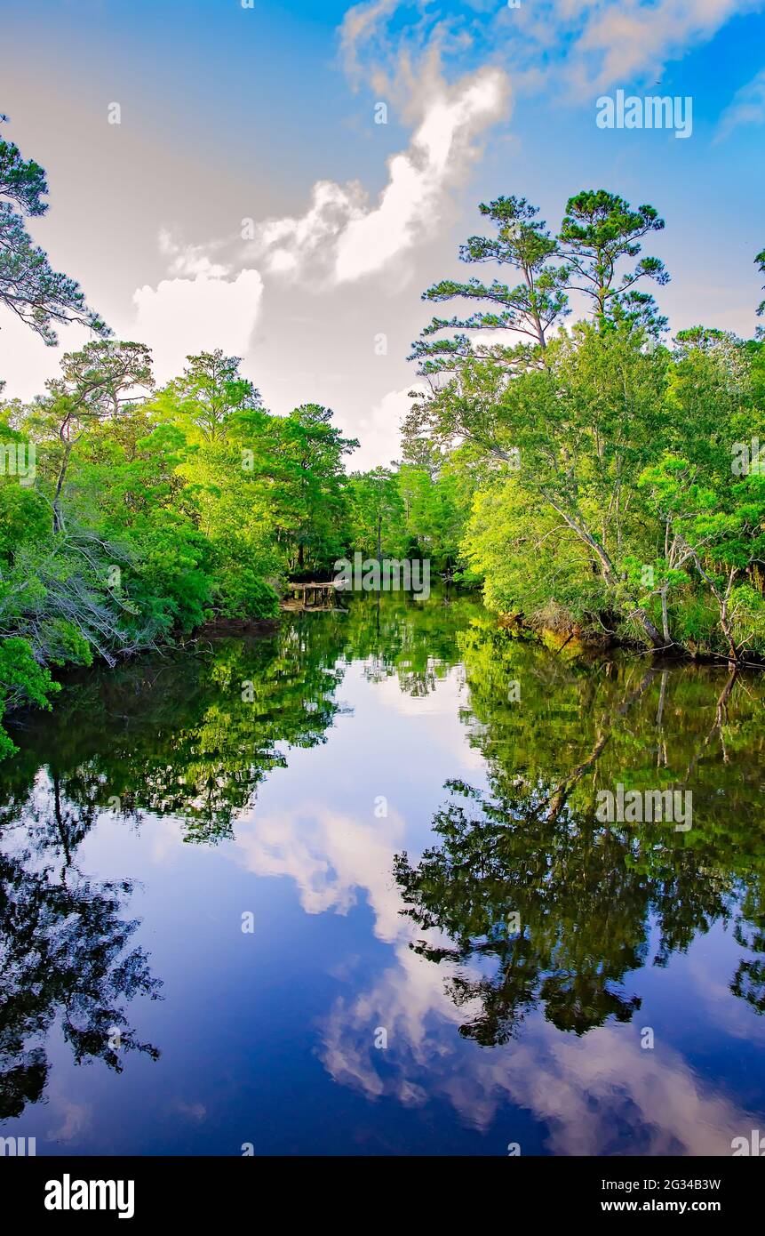 Bäume spiegeln sich im glasigen Wasser der Bayou, 9. Juni 2021, in Bayou La Batre, Alabama. Stockfoto