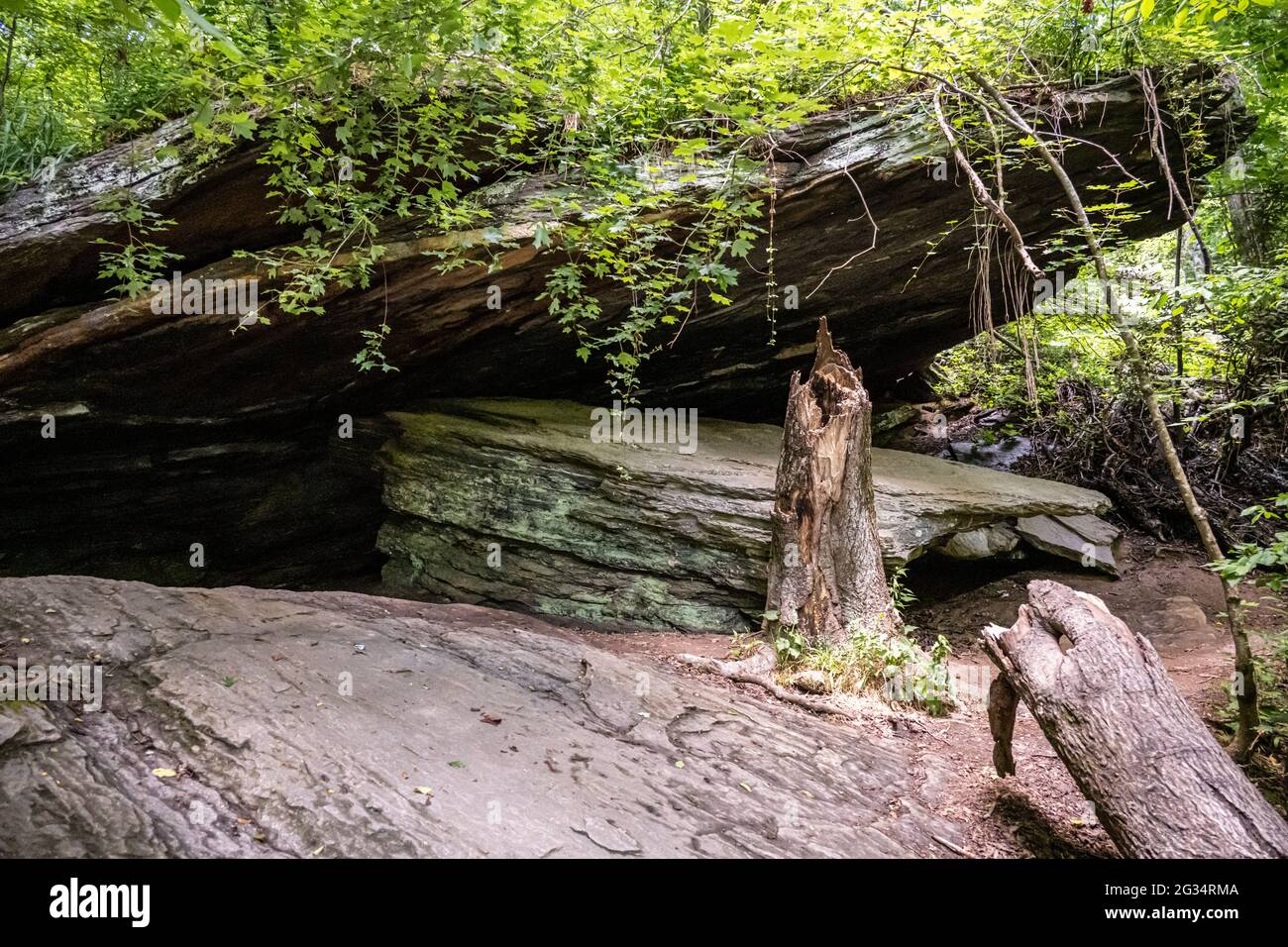 Felsüberhang, vermutlich ein uralter Schutz der Ureinwohner Amerikas, entlang des Chattahoochee River in Sandy Springs, Georgia, im Island Ford Park. (USA) Stockfoto