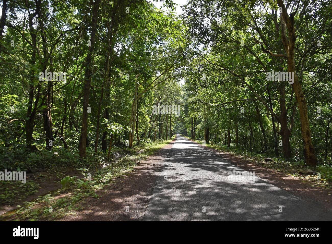 Koraput, Odisha, Indien Stockfoto