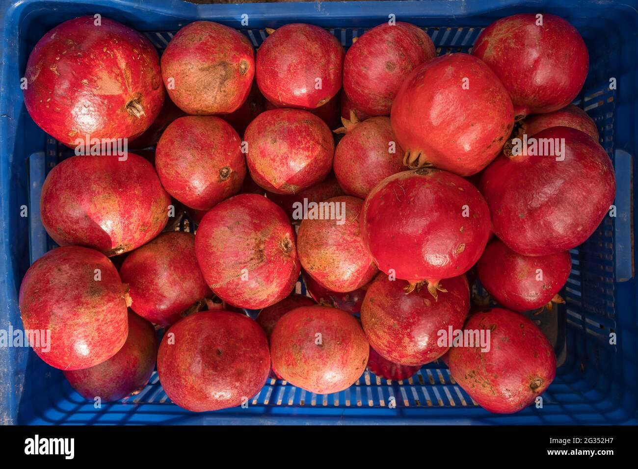 Reife rote Granatäpfel in der Box in der Nähe Stockfoto