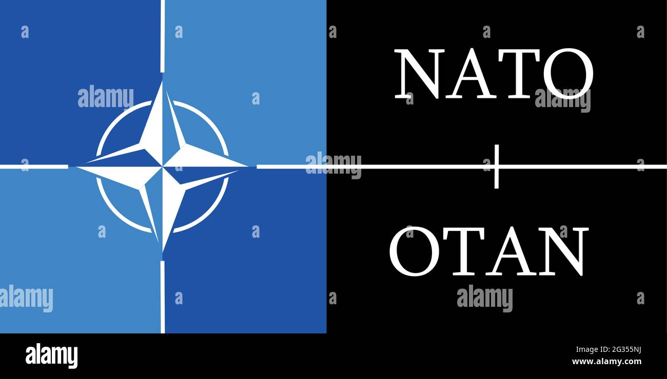 Weißer Wind stieg auf blauem Hintergrund. Stock Vektor