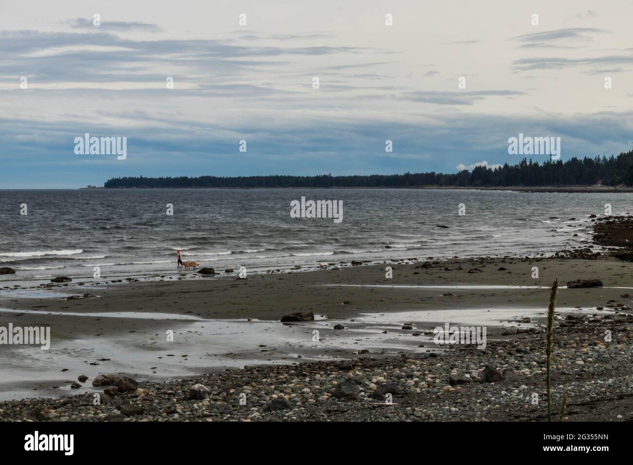 Küstenstrand von British Columbia bei Ebbe, windiger Tag mit Landspitze in der Ferne, Person mit Hund am Strand. Stockfoto