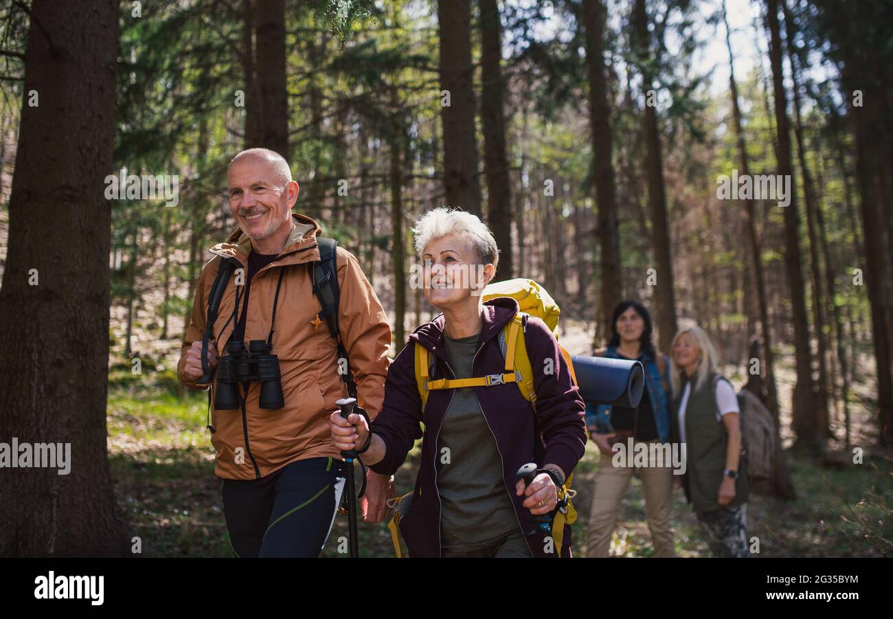 Gruppe von Senioren Wanderer im Freien im Wald in der Natur, Wandern. Stockfoto