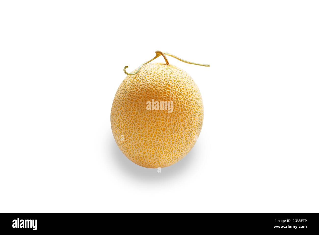 Melone oder Cantaloupe auf weißem Hintergrund. Frische Bio-tropische Früchte. Stockfoto