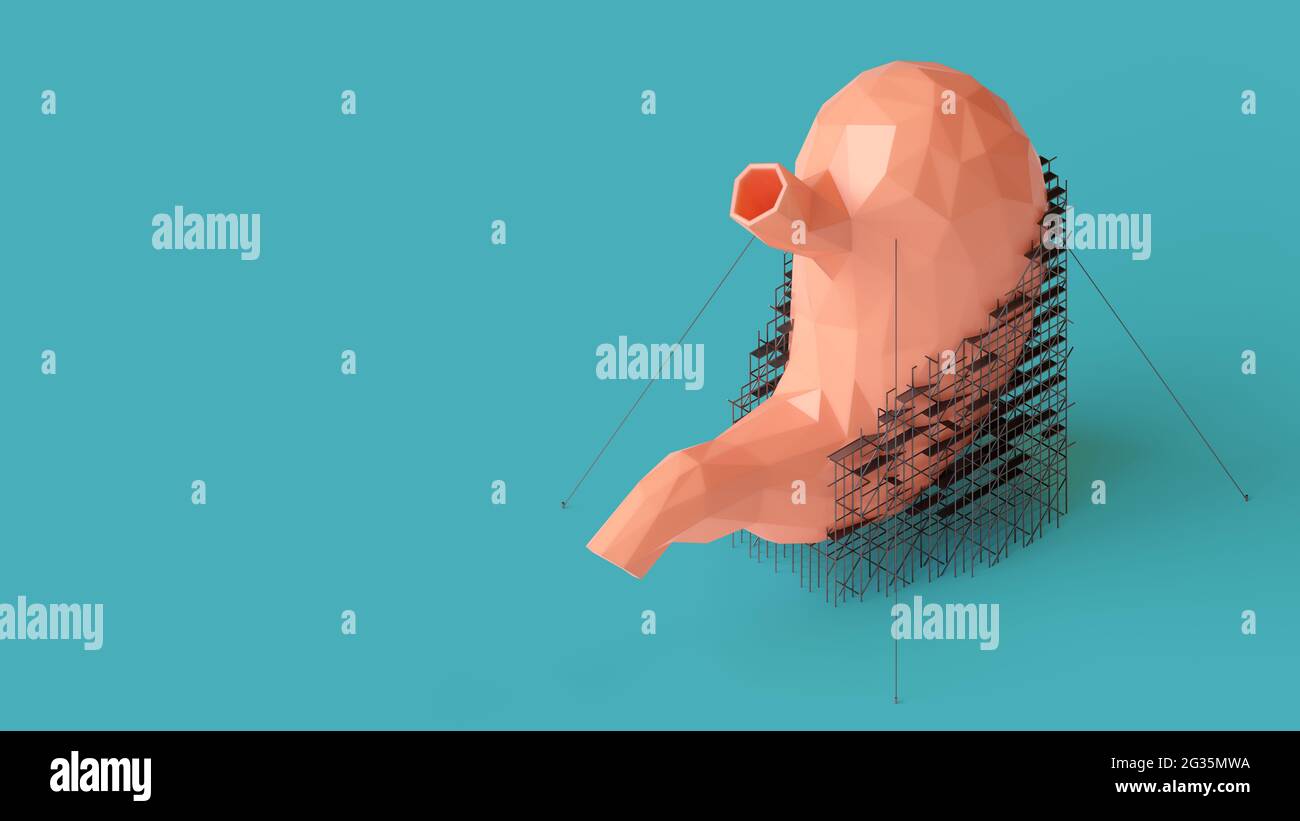 3d-Illustration des Low-Poly-Konzepts zur Reparatur des menschlichen Magens. Isometrisches 3d-Rendering des Magens mit Gerüsten darauf und mit Kopierraum Stockfoto