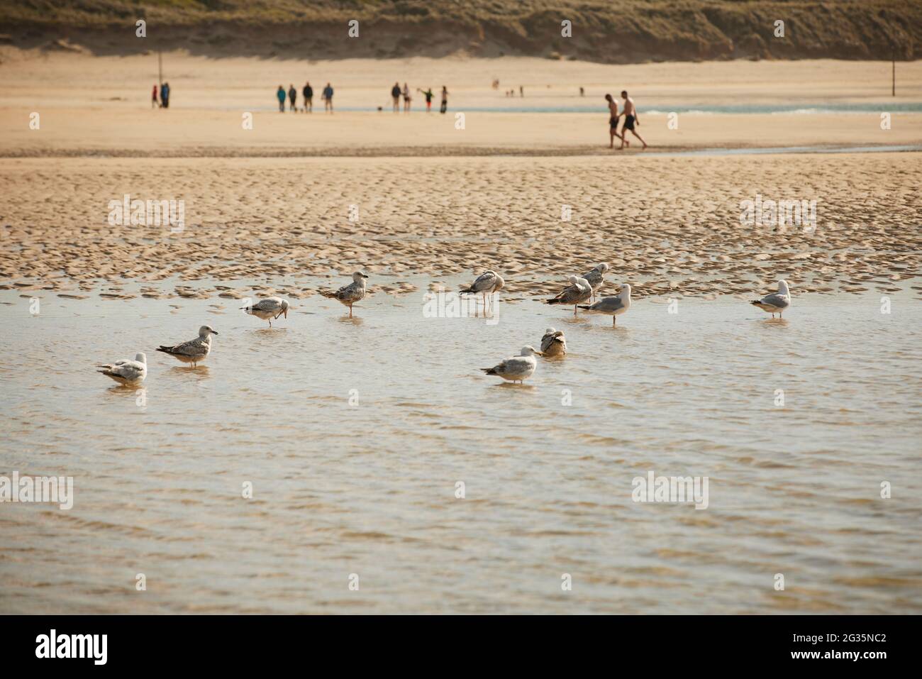 Cornish Touristenziel Hayle, in St. Ives Bay, Cornwall, England, Hayle Beach Stockfoto