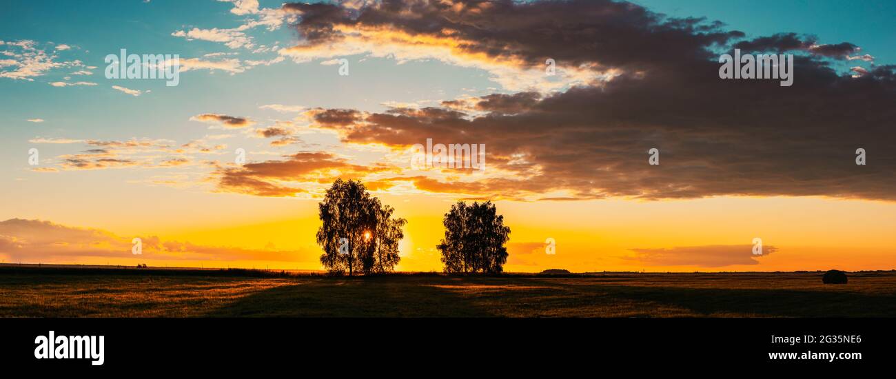 Sonne Scheint Durch Baumdach. Bäume Wälder In Meadow Während Sonnenuntergang Sonnenaufgang. Helle Bunte Dramatische Himmel Und Dunklen Boden Mit Bäumen Silhouetten Stockfoto