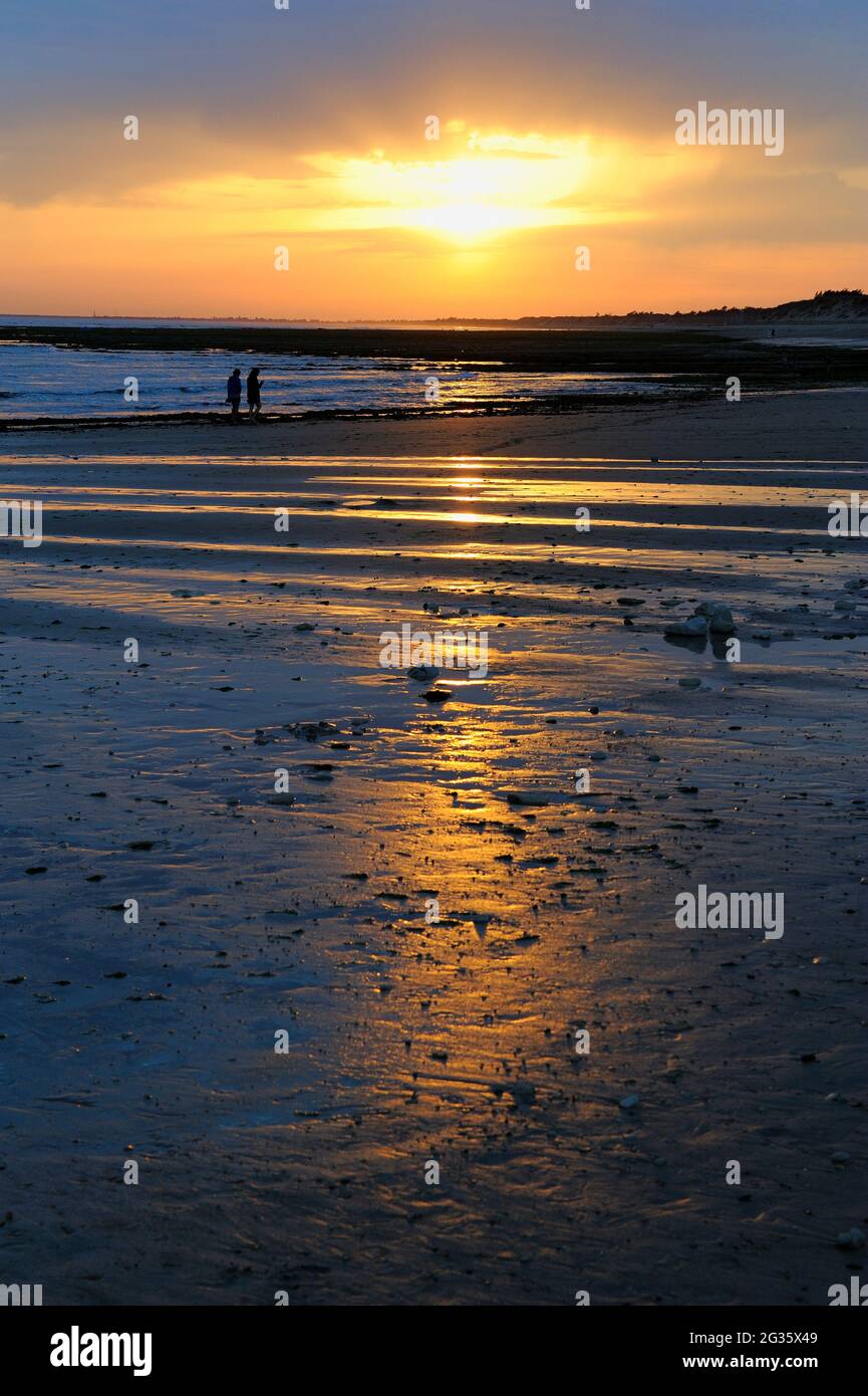 FRANKREICH, CHARENTE-MARITIME (17) INSEL RE, DIE KÜSTE BEI EBBE IN DER NÄHE DES WEILERS LA NOUE, BEI LES GRENETTES, BEREICH DES DORFES SAINTE-MARIE Stockfoto