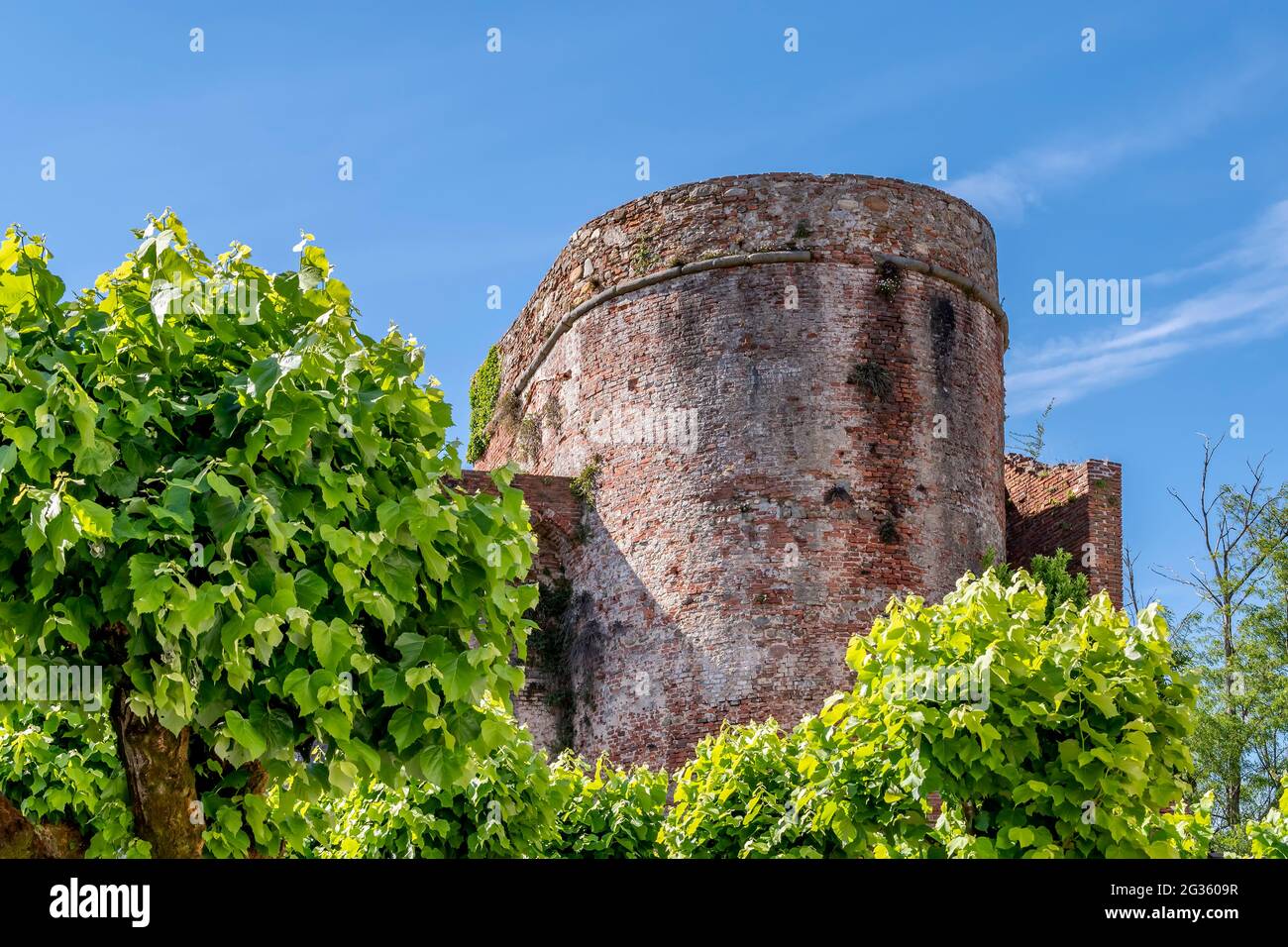 Detail der Festung Cerruglio, das Schloss mit Blick auf das Dorf Montecarlo, Lucca, Italien Stockfoto