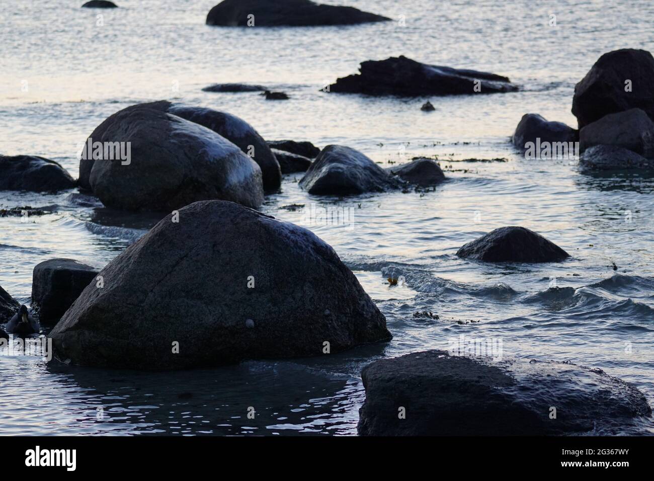 Die Landschaft von Jæren ist wunderschön mit langen Sandstränden und einem schönen Grasland, das die natürlichen Sanddünen bedeckt. Ein einzigartiges Erlebnis zum Auschecken. Stockfoto