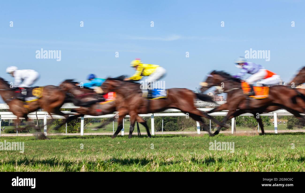 Pferderennen Nahaufnahme Bewegungsgeschwindigkeit Unbekannte Jockeys und Pferde auf Rasen Strecke laufen Reiten Aktion Nahaufnahme Panoramabild. Stockfoto