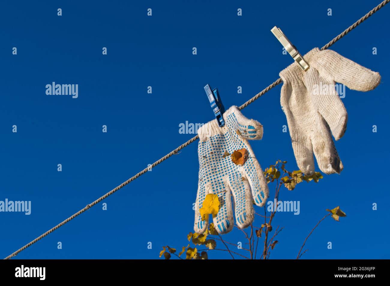 Ein Paar weiße Arbeitshandschuhe, befestigt mit zwei Wäscheklammern, mit blauen Noppen und Blättern, die nach der Arbeit an der diagonalen Wäscheleine gegen t hängen Stockfoto