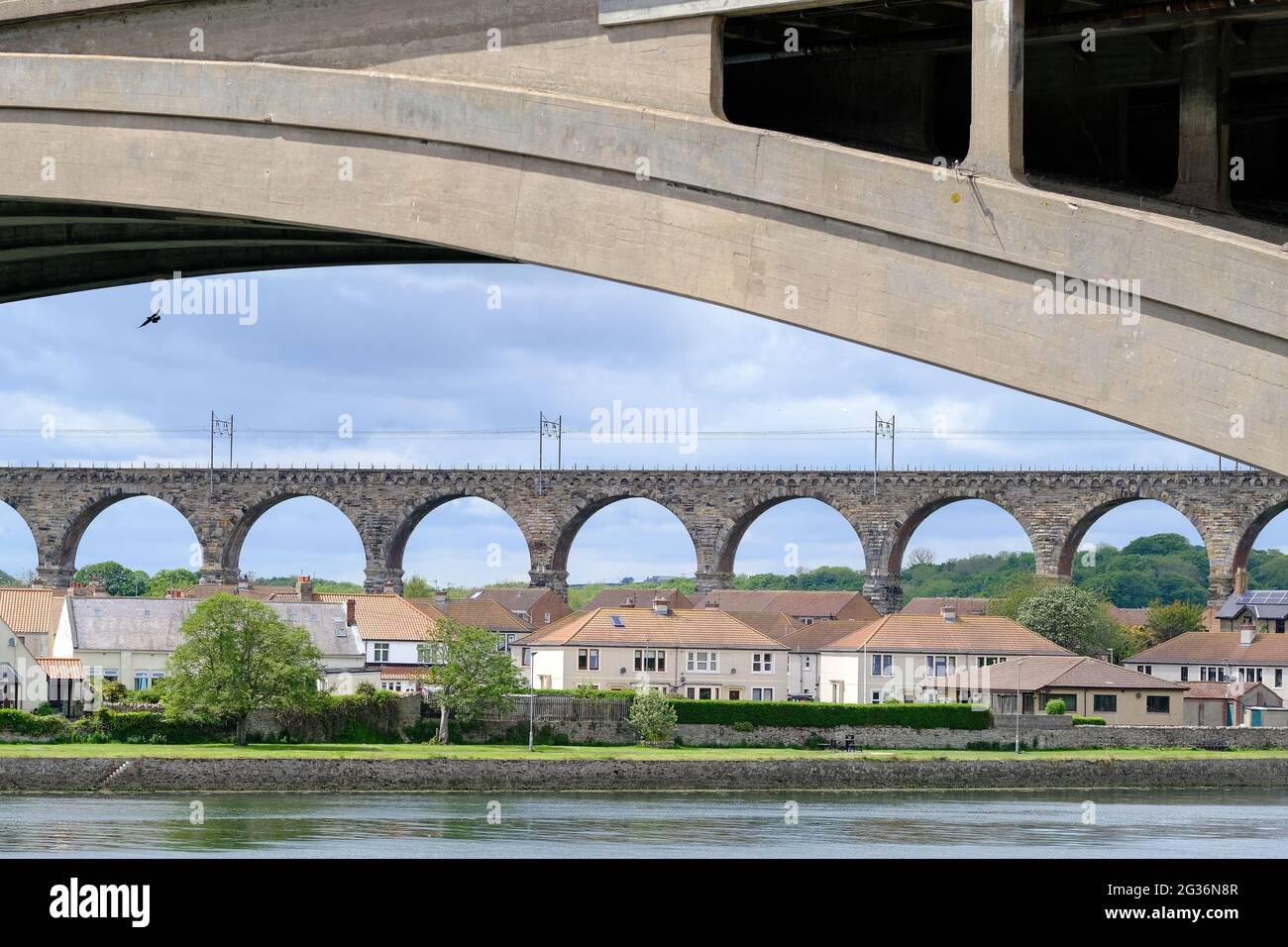 Berwick-upon-Tweed, Großbritannien. Blick auf die Eisenbahnbrücke über den Fluss Tweed. Stockfoto