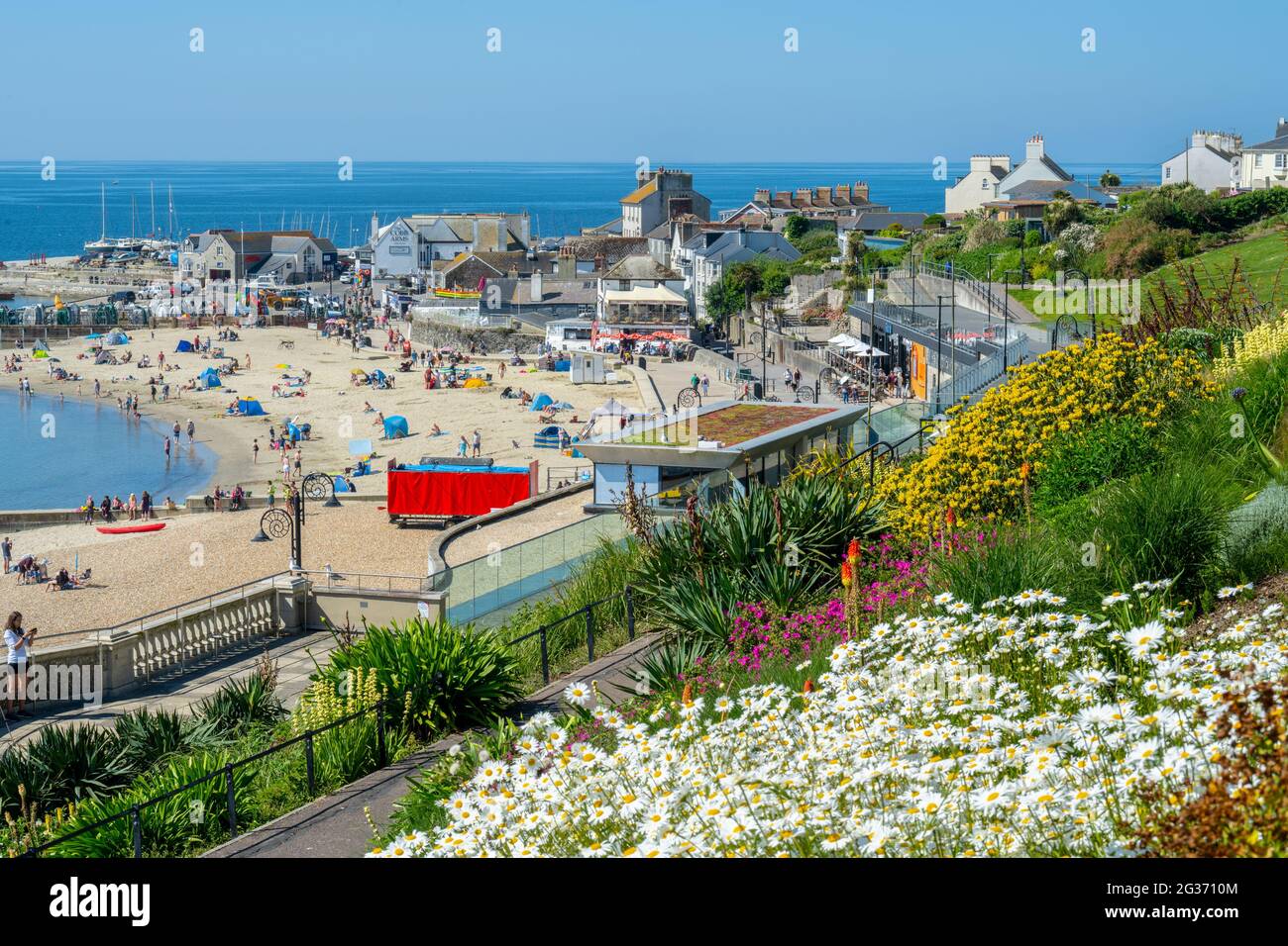 Lyme Regis, Dorset, Großbritannien. Juni 2021. Wetter in Großbritannien: Heiß und sonnig im malerischen Ferienort Lyme Regis. Die Frühlingsblumen in den Langmoor Gardens mit Blick auf Cobb und Strand waren am heißesten Tag des Jahres in voller Blüte. Kredit: Celia McMahon/Alamy Live Nachrichten Stockfoto