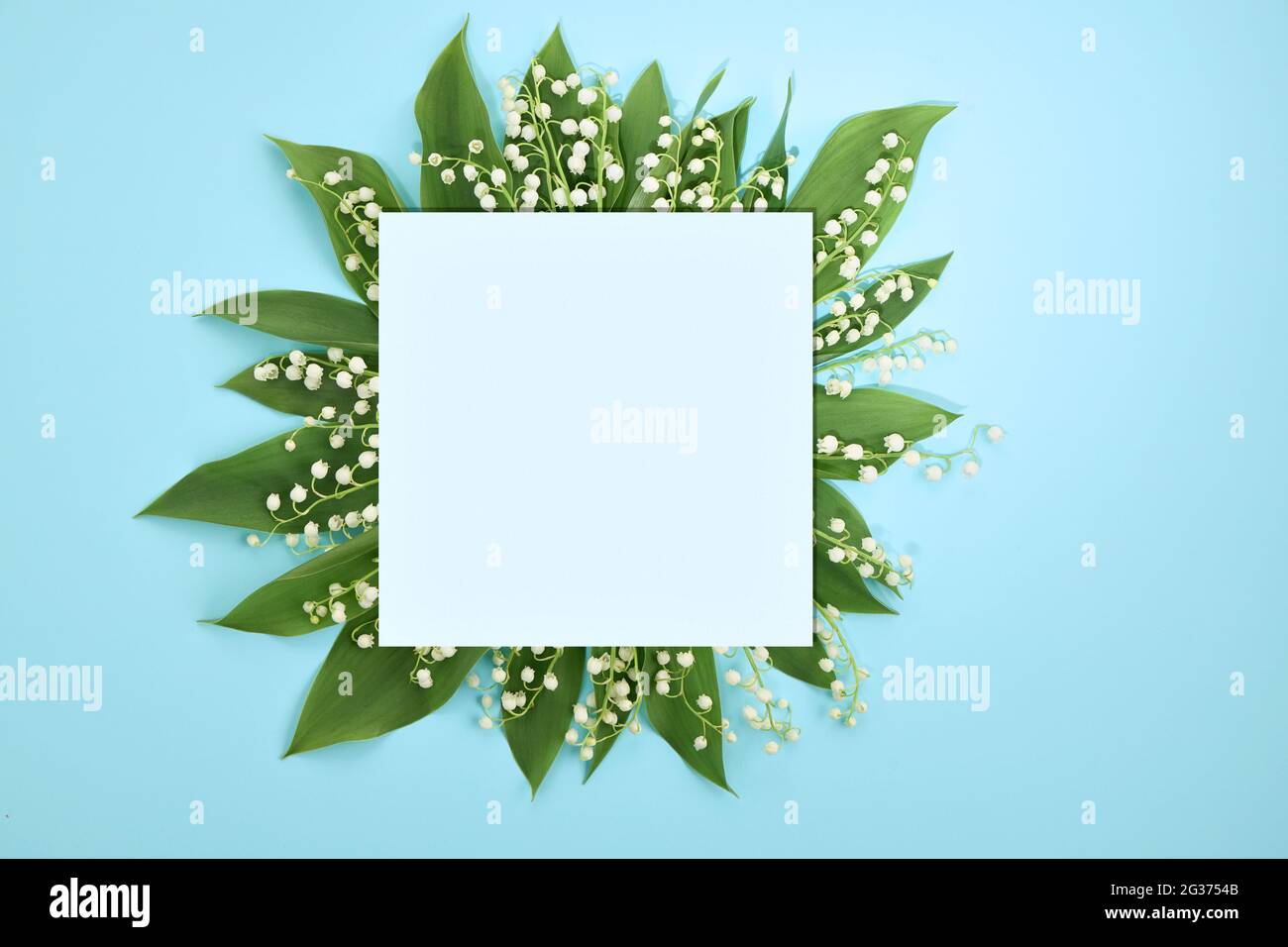 Komposition mit weißen Blüten. Leeres Papier, Lilien des Tales auf hellblauem Hintergrund. Flach liegend, Draufsicht. Stockfoto