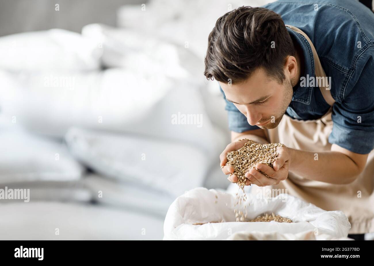 Genießen Sie ein angenehmes Aroma von frischem Getreide, Ernte für die Herstellung von Craft-Bier, Alkoholproduktion Stockfoto