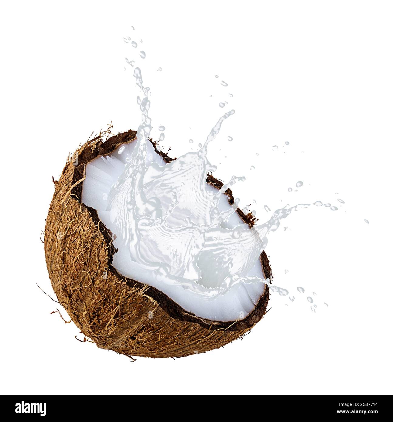 Frische Kokosmilch Spritzer mit Kokosnüssen isoliert. Vegetarische Milch, Smoothie, Rahm Stockfoto