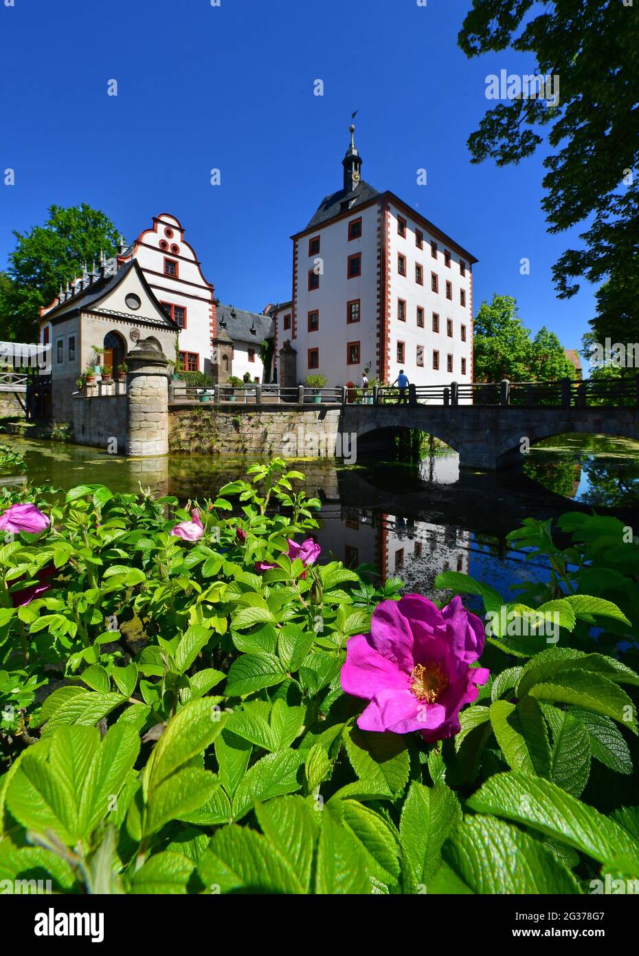 14. Juni 2021, Thüringen, Großkochberg: Die Sonne scheint vom blauen Himmel über Schloss Kochberg. Berühmt wurde die ehemalige Landsitz der Familie von Stein durch Goethes Liebe zu Charlotte von Stein. Zwischen 1775 und 1788 war der Dichter regelmäßig hier zu Gast. Nach dem regnerischen Frühling steht Deutschland kurz vor der ersten Sommerhitze. Foto: Martin Schutt/dpa-Zentralbild/dpa Stockfoto