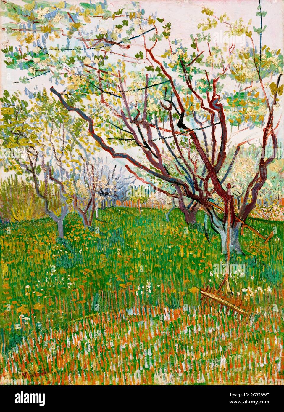 The Flowering Orchard (1888) von Vincent Van Gogh. Stockfoto