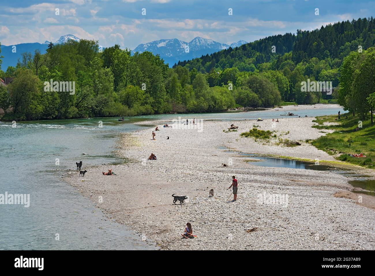 Isarbank mit Menschen und Hunden, Bad Tölz, Oberbayern, Bayern, Deutschland Stockfoto