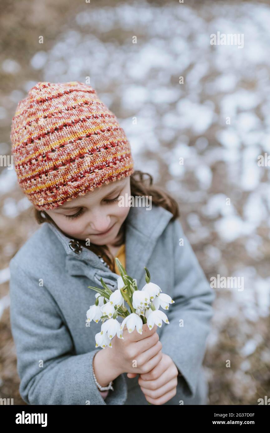 Frühlingsblume Stockfoto