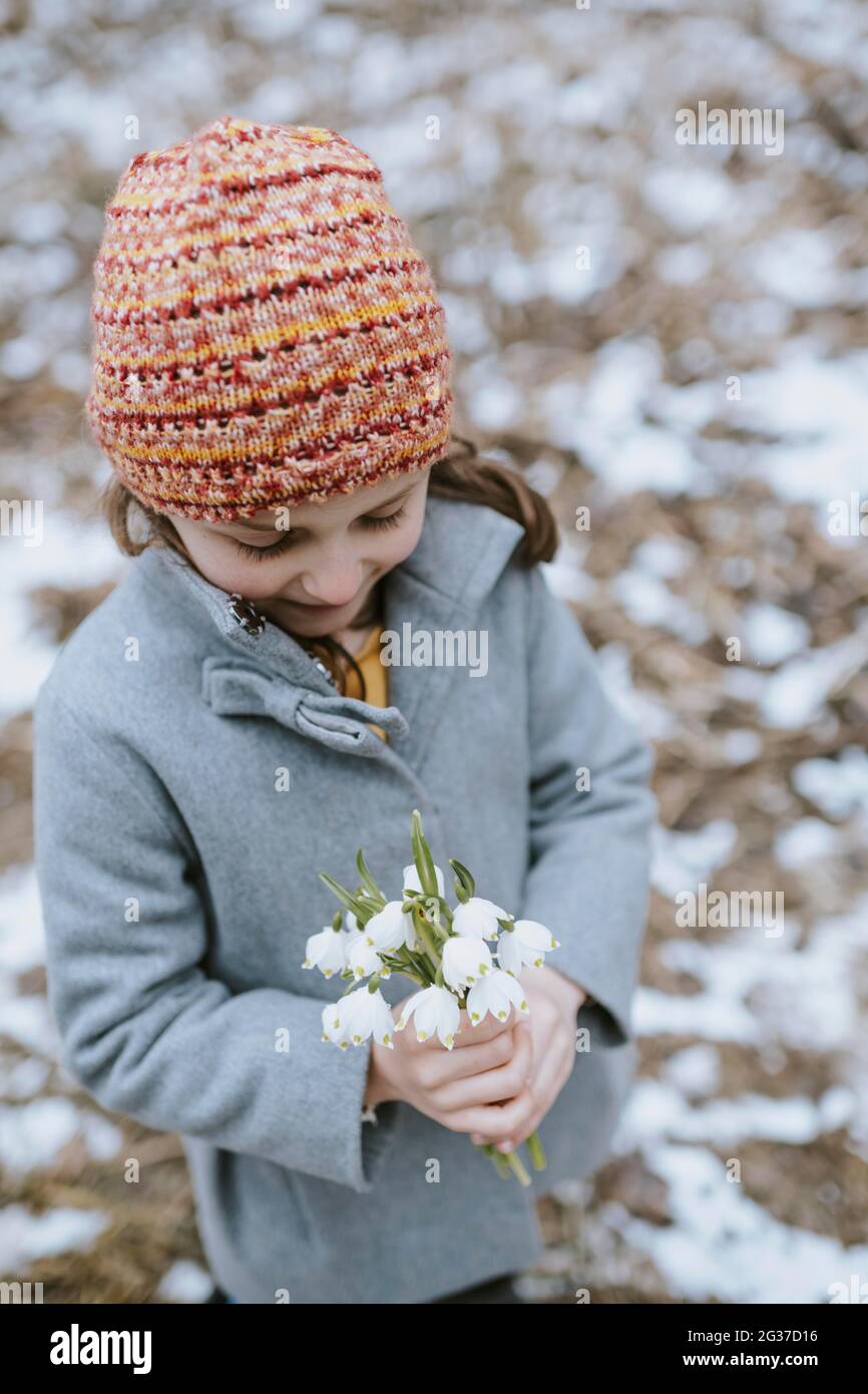 Frühlingsblume Stockfoto