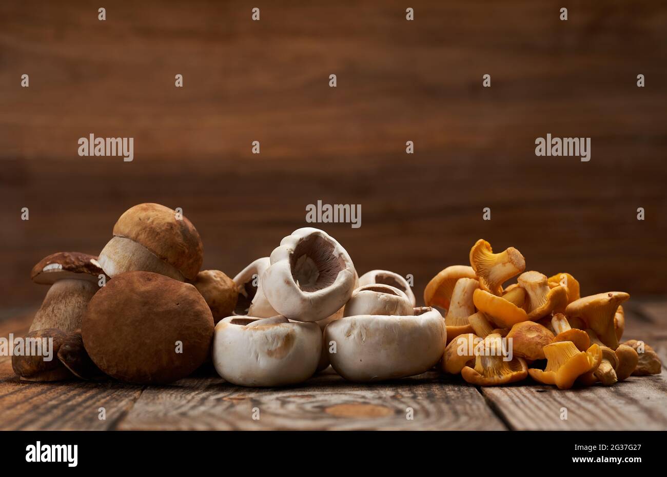 Eine Vielzahl von essbaren Waldpilzen, Botele, Chantarelle und Champignons auf Holzbrett, gereinigt und bereit zum Kochen Stockfoto