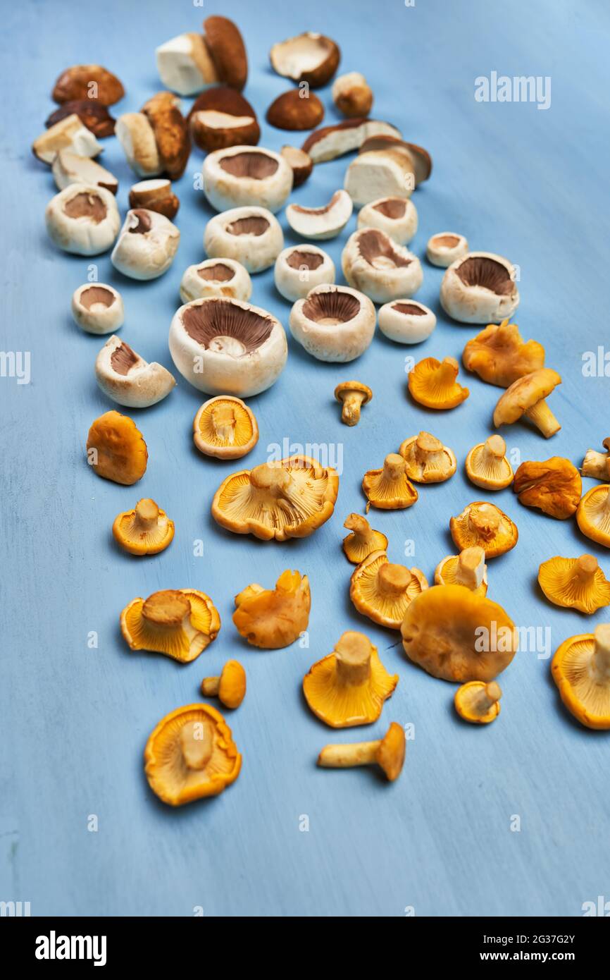 Eine Vielzahl von essbaren Waldpilzen, Botele, Chantarelle und Champignons auf Holzbrett, gereinigt und bereit zum Kochen Stockfoto