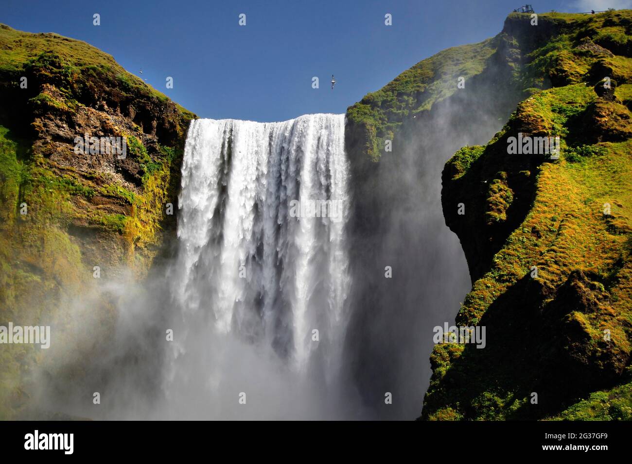 Wasserfall, Skogafoss, Südisland, Island Stockfoto