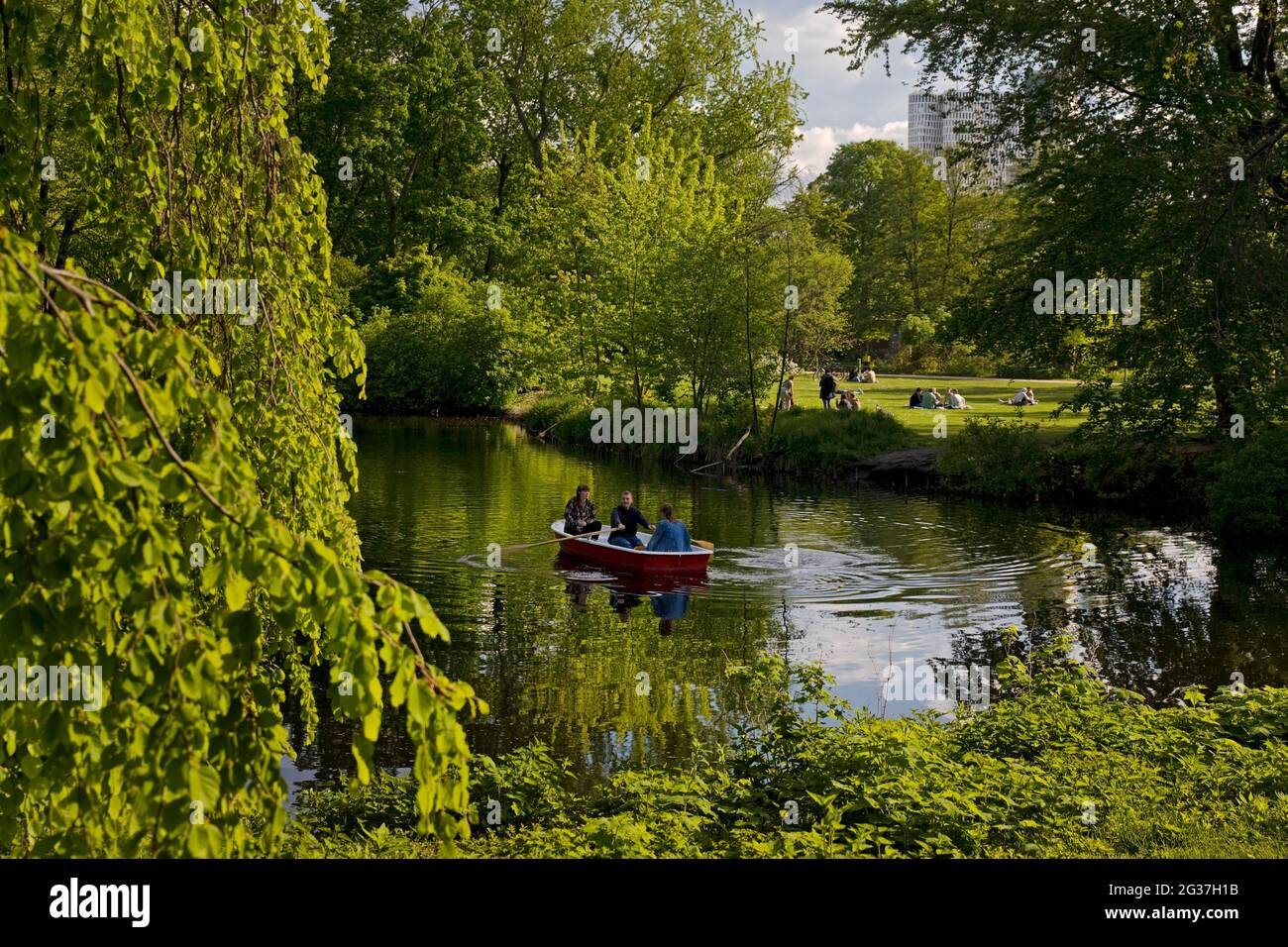 Erholung am Neuen See in Tiergarten, Mitte, Berlin, Deutschland Stockfoto