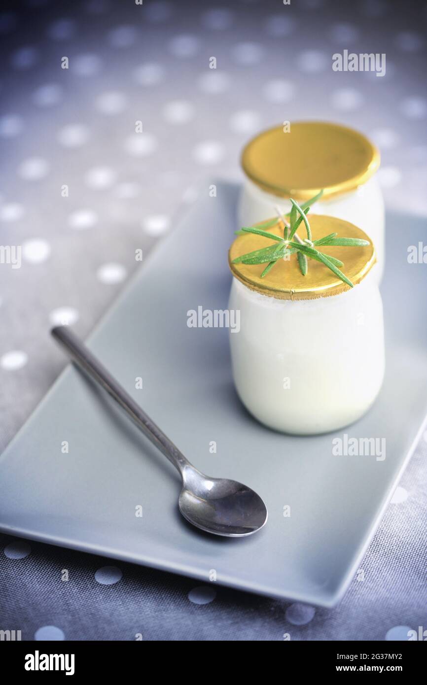 Joghurt in einem Glas mit einem Löffel. Gesunde Lebensmittel zum Frühstück, Milchprodukte Stockfoto