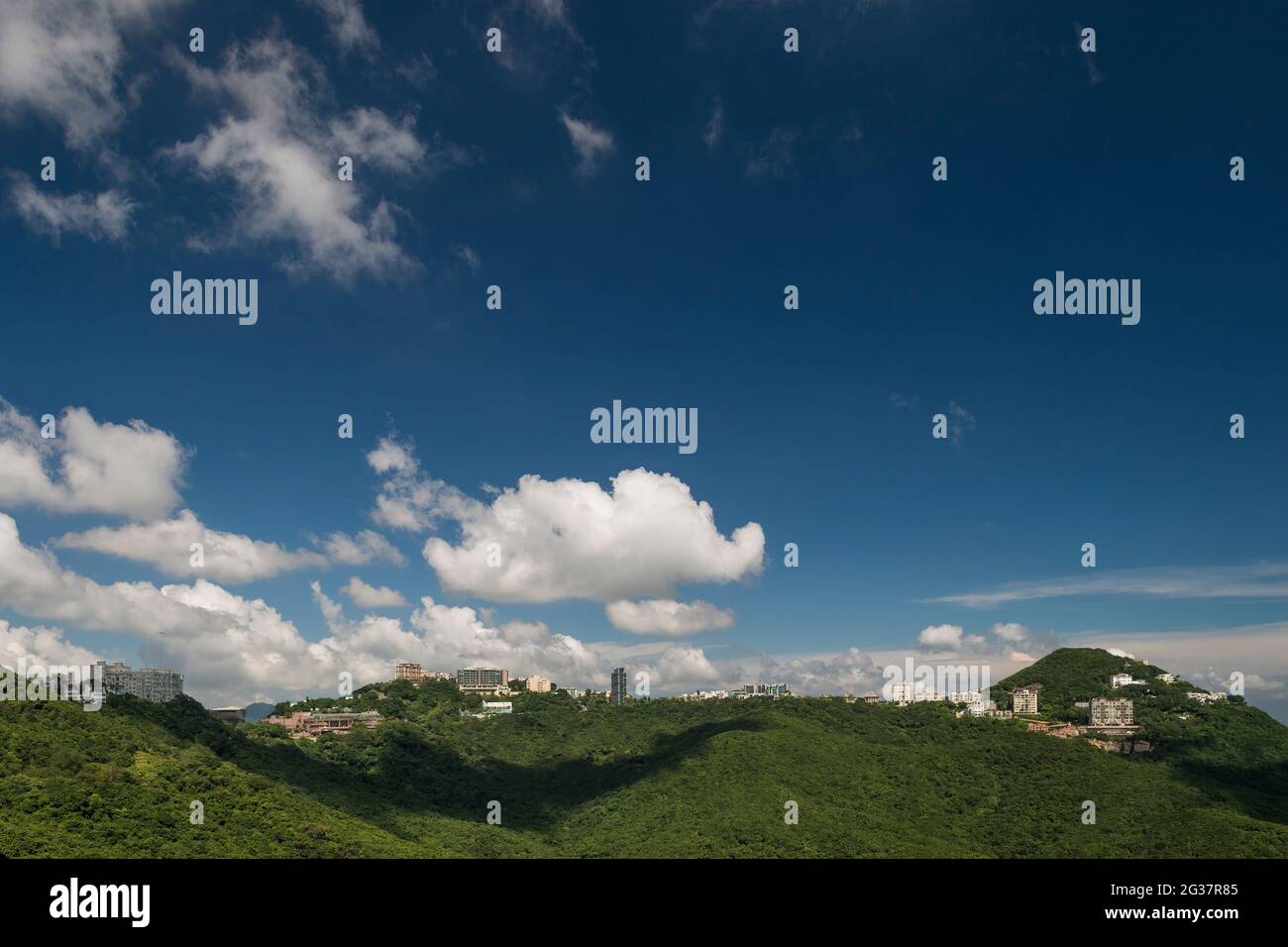 Luxuswohnungen entlang der Mount Kellett Road, südlich von Victoria Peak, Hong Kong Island Stockfoto