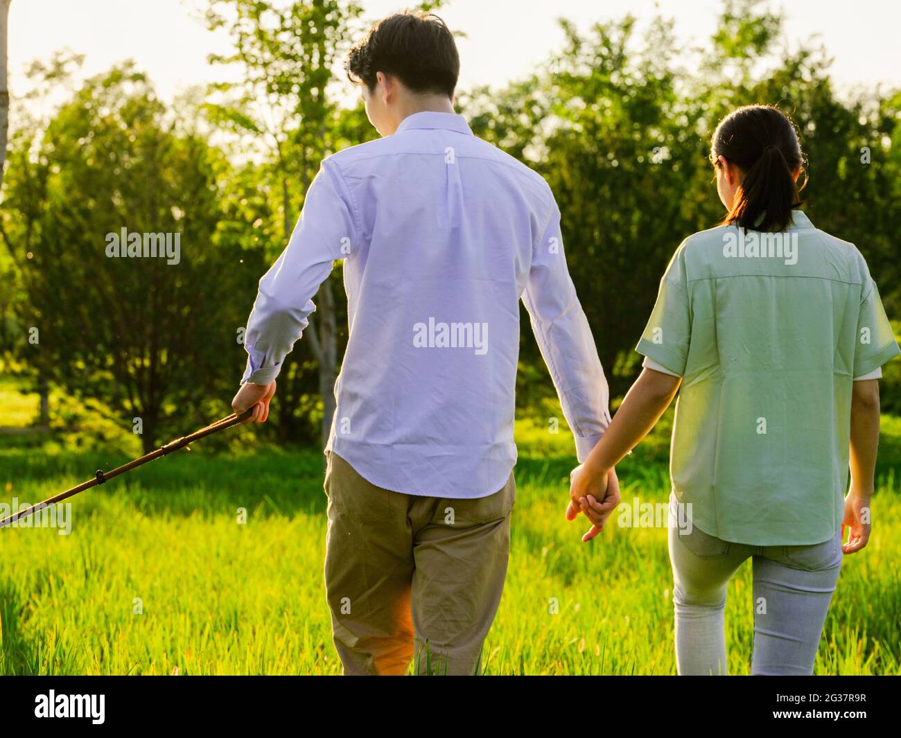 Junge Liebhaber zu Fuß Hunde im Park qualitativ hochwertige Foto Stockfoto