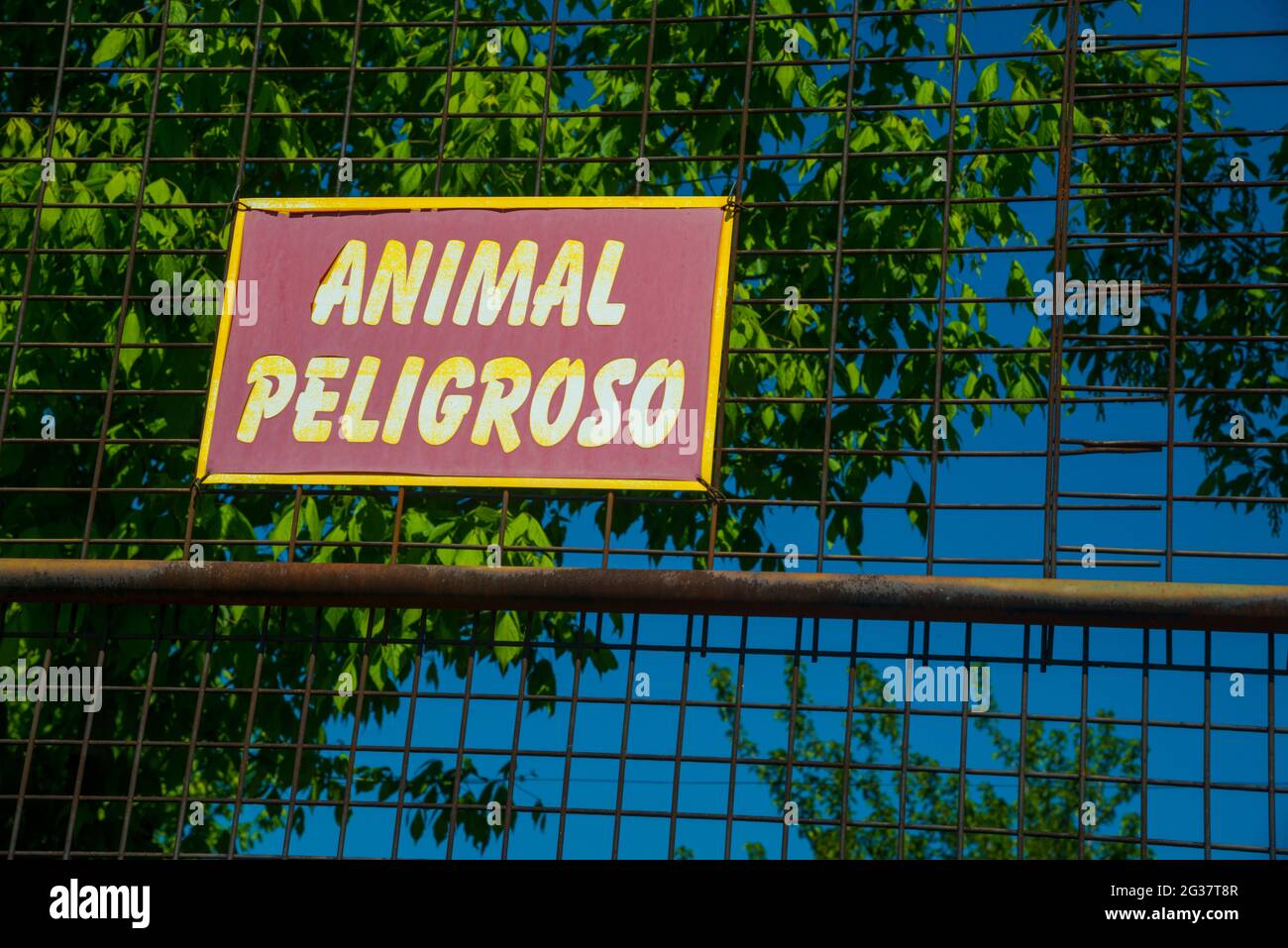 Schild für gefährliche Tiere. Stockfoto