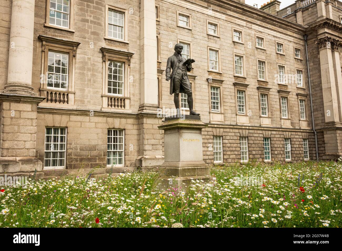 Die Oliver Goldsmith-Statue und die Wildblumenwiese am College Green Eingang für das Trinity College in Dublin, Irland, Stand Juni 2021 Stockfoto