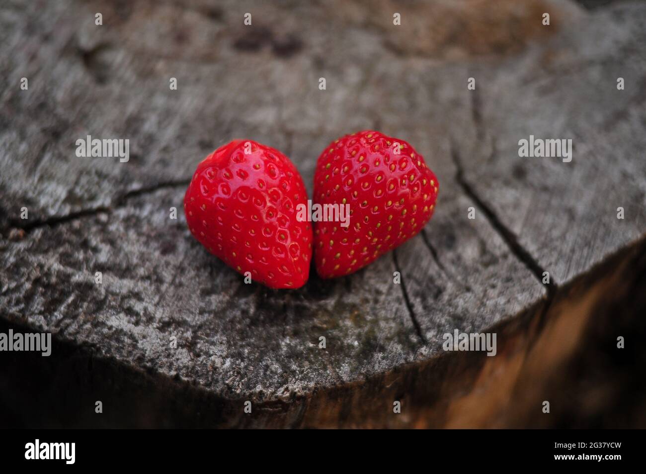 Rote Erdbeere im Holzhintergrund, Liebeskonzept Stockfoto