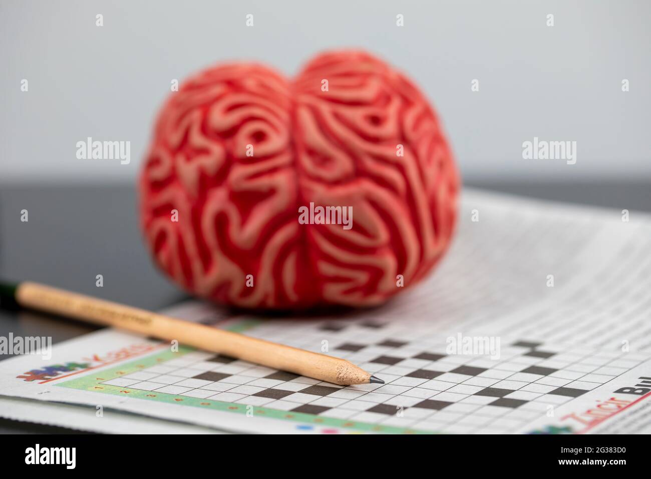 Alzheimer und Gehirntraining Konzept, Gehirn und Kreuzworträtsel mit Bleistift Stockfoto