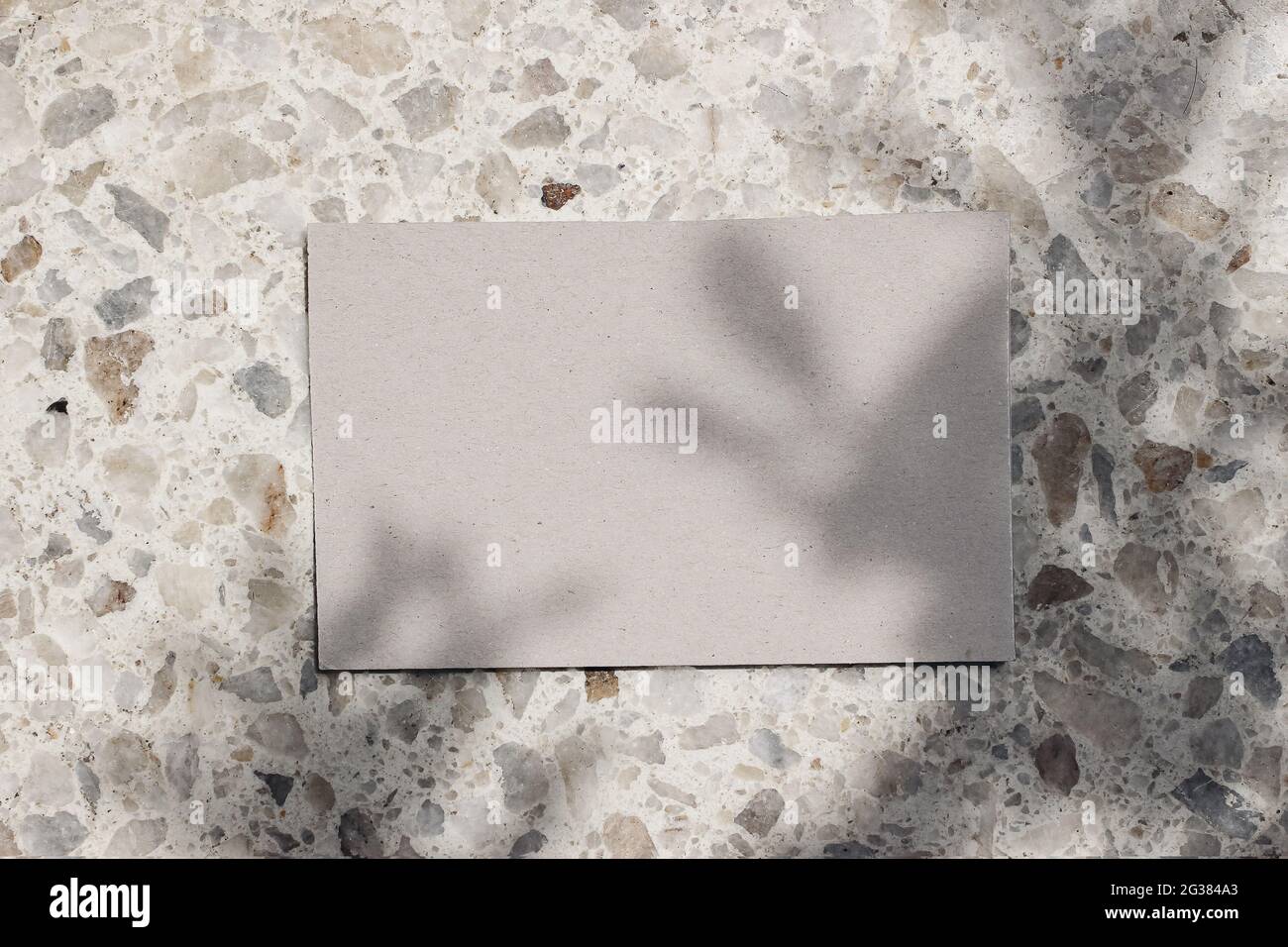 Blank beige Visitenkarten Mockup auf Terazzo Hintergrund in Sonnenlicht. Struktur aus Marmorstein, Schatten von Baumblättern. Moderne Vorlage, Branding Stockfoto