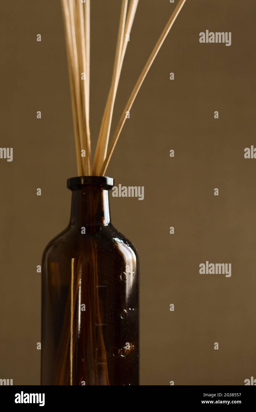 Diffusorflasche aus dunklem Glas mit natürlichen Schilfstäben Stockfoto