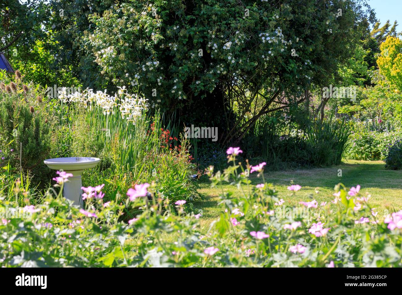 Typischer englischer Landgarten mit Blumen und Bäumen im Sommer, Sussex, Großbritannien Stockfoto