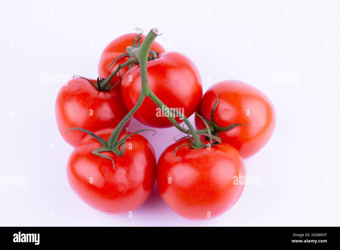 Rote Tomate mit Stiel. Die Tomate ist die essbare Beere der Pflanze Solanum lycopersicum, allgemein bekannt als Tomatenpflanze. Andalusien, Spanien, Europa Stockfoto