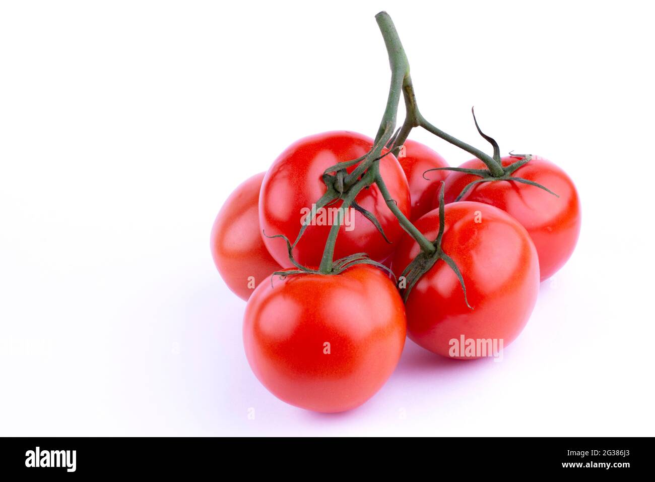 Rote Tomate mit Stiel. Die Tomate ist die essbare Beere der Pflanze Solanum lycopersicum, allgemein bekannt als Tomatenpflanze. Andalusien, Spanien, Europa Stockfoto