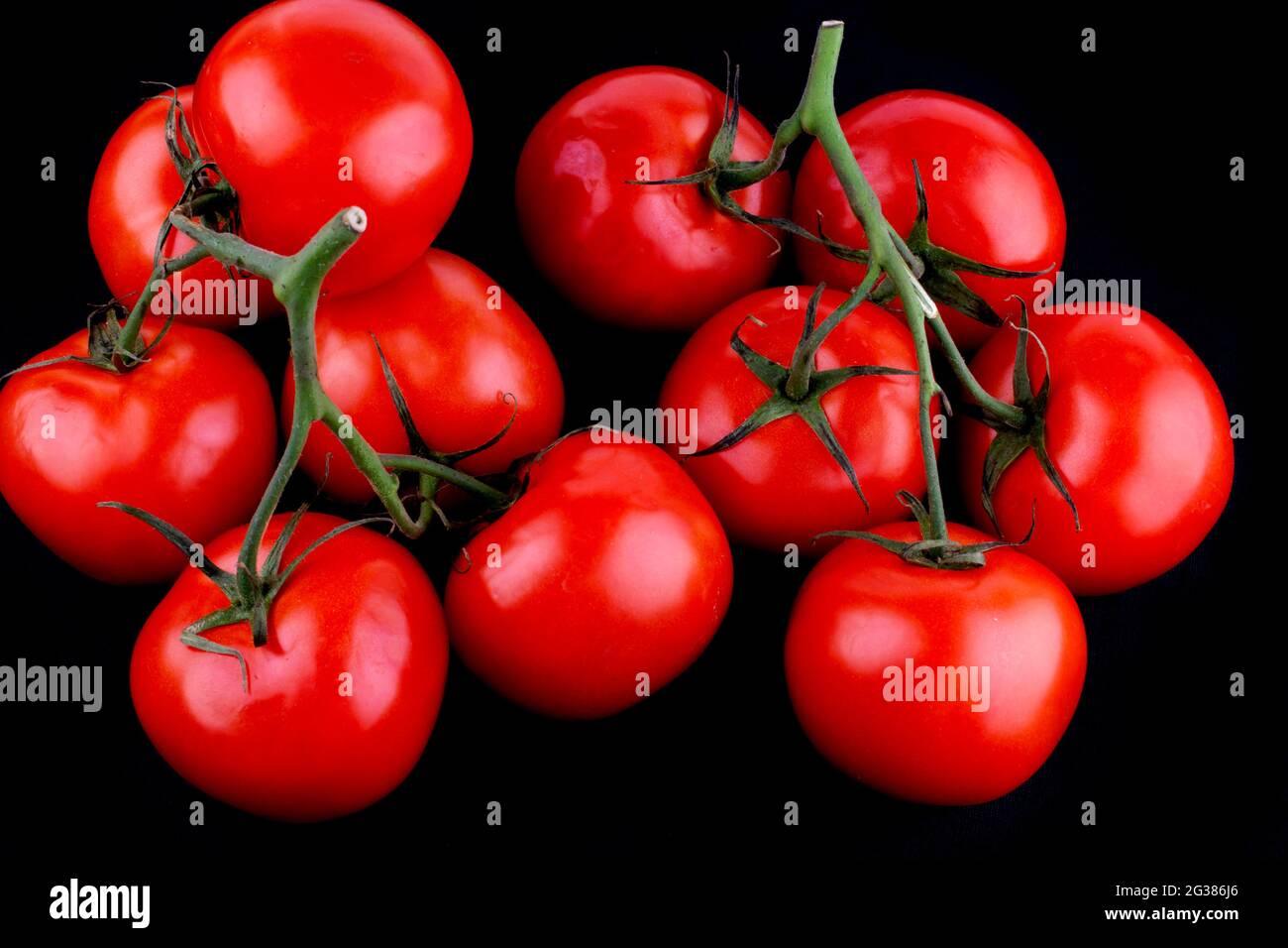 Rote Tomate mit Stiel, isoliert auf schwarz. Die Tomate ist die essbare Beere der Pflanze Solanum lycopersicum, allgemein bekannt als Tomatenpflanze. Andalusien, Stockfoto