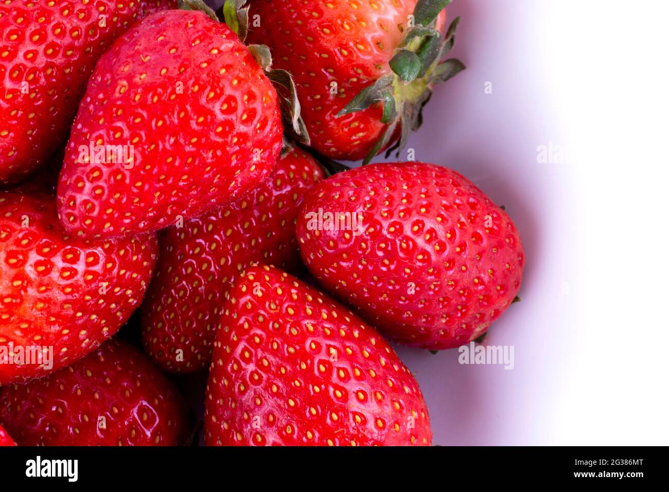 Frische rote Erdbeere isoliert auf weißem Hintergrund. Fragaria Gattung der blühenden Pflanzen in der Familie der Rosengewächse, Rosaceae, allgemein bekannt als Erdbeeren für Stockfoto