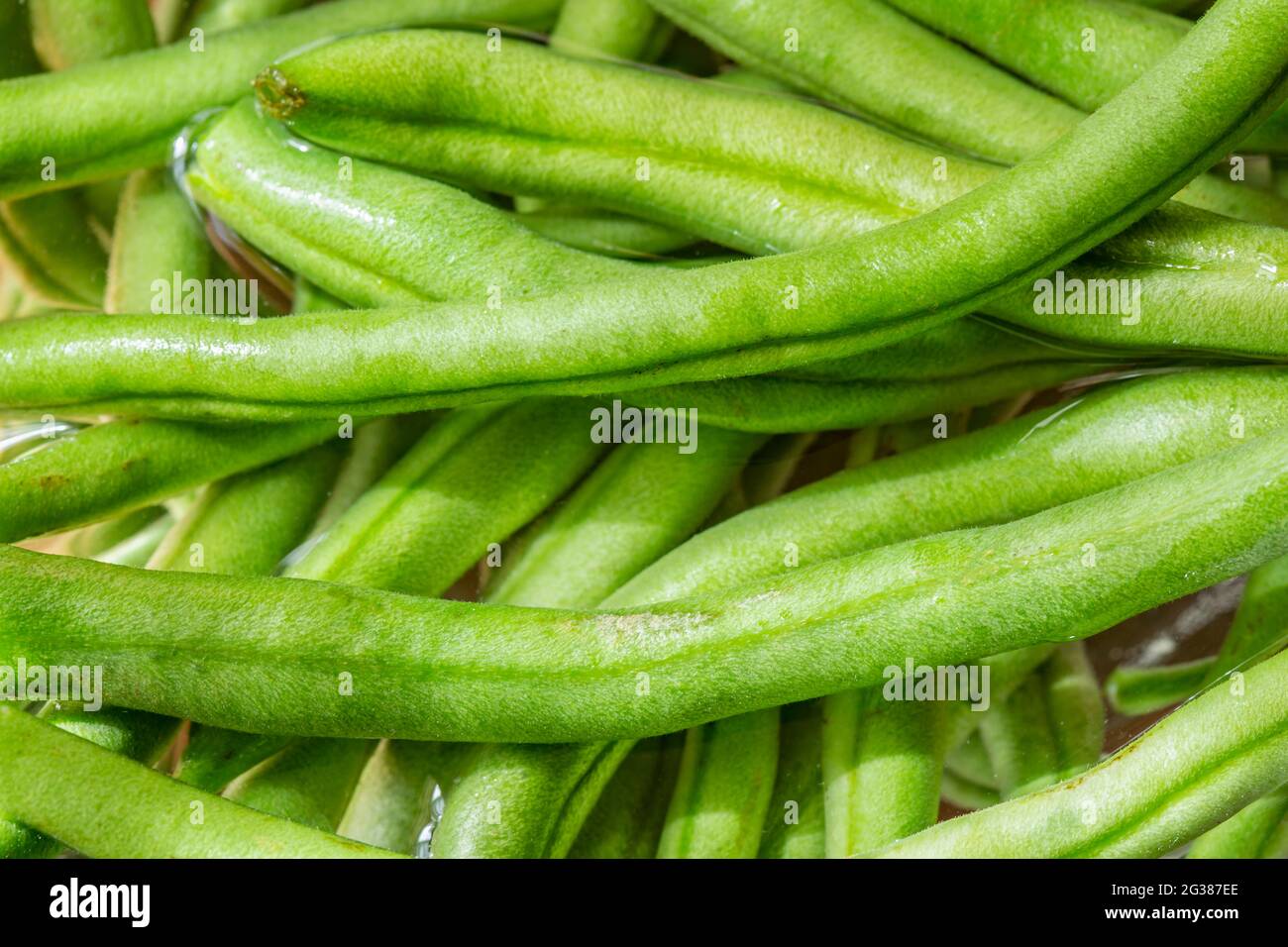 Makrofotografie von frischen grünen Bohnen. Stockfoto